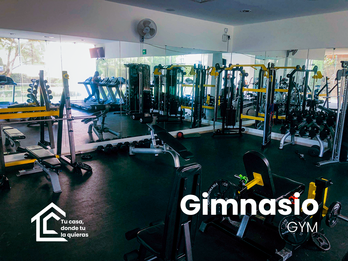 Un gimnasio con muchos aparatos para hacer ejercicio como mancuernas, pesas, elíptica, escaladora en bosques tepepan